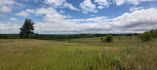 New Opportunities Available for the Former Millbrook Correctional Centre Lands